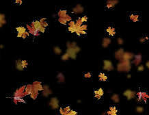 写メ日記 矢田(やだ) 9/20(土) 19:16