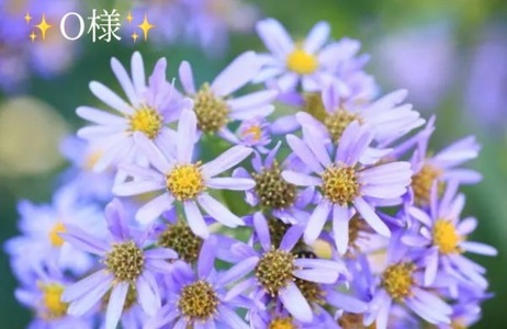 写メ日記 小山真帆 9/20(土) 22:18