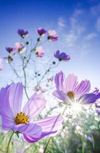 写メ日記 ともこ 9/21(日) 10:07