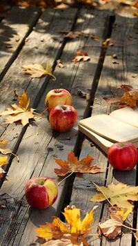 写メ日記 ともこ 9/22(月) 10:04