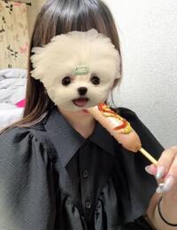 写メ日記 あられ 9/22(月) 11:16