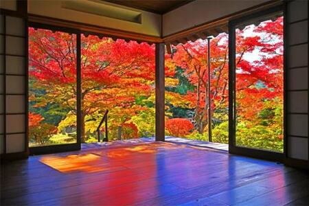 写メ日記 ふうか 9/22(月) 13:30