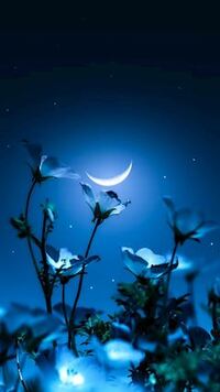 写メ日記 ともこ 9/22(月) 18:23