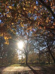 写メ日記 ともこ 9/23(火) 10:01