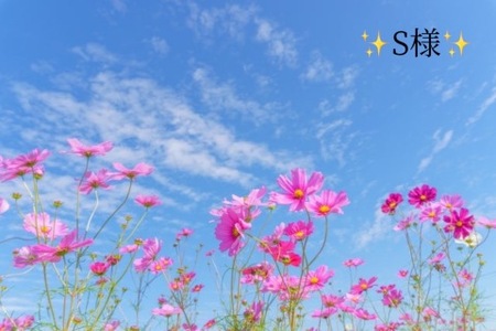 写メ日記 小山真帆 9/23(火) 15:24