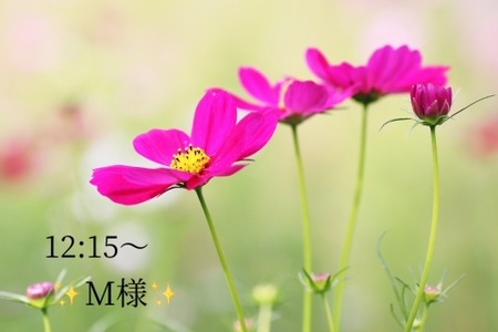 写メ日記 小山真帆 9/23(火) 18:26