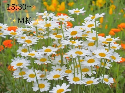 写メ日記 小山真帆 9/23(火) 22:22