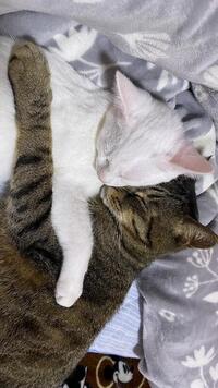 写メ日記 くいん 9/24(水) 06:28