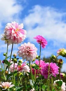 写メ日記 ともこ 9/24(水) 10:07