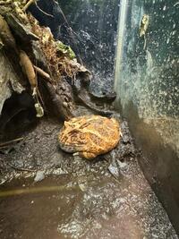 写メ日記 えみり 9/24(水) 23:21