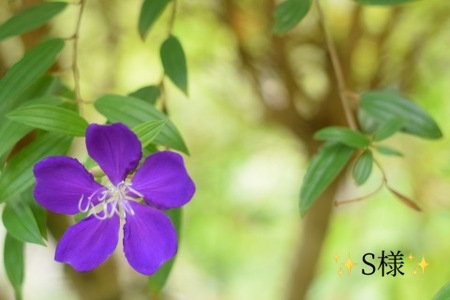 写メ日記 小山真帆 9/25(木) 19:30