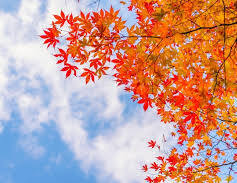 写メ日記 矢田(やだ) 9/25(木) 21:02