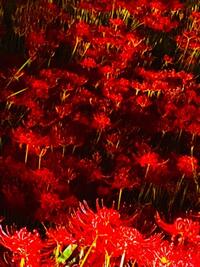 写メ日記 えま 9/25(木) 21:25