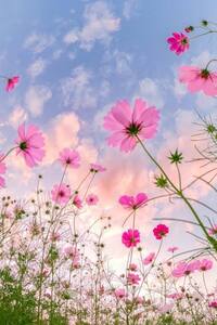 写メ日記 矢田(やだ) 9/26(金) 20:17