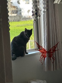 写メ日記 かなう 9/27(土) 07:04