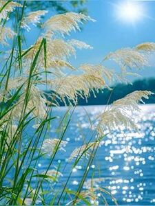 写メ日記 ともこ 9/27(土) 10:03