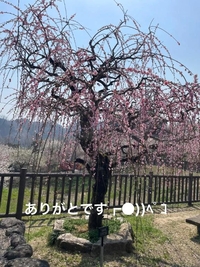 写メ日記 すみ 9/27(土) 16:04