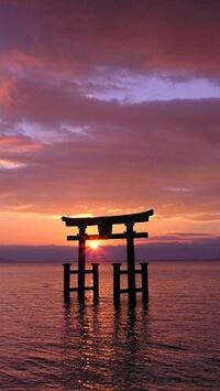 写メ日記 ともこ 9/27(土) 18:46