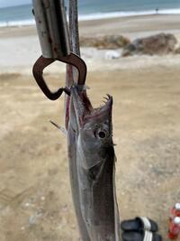 写メ日記 れあ 9/27(土) 22:54