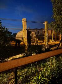 写メ日記 なな 9/28(日) 19:05