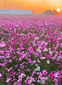 写メ日記 みつ 9/29(月) 03:34