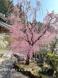 写メ日記 すみ 9/29(月) 15:51