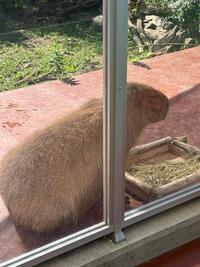 写メ日記 えみり 10/2(木) 19:34