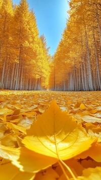 写メ日記 ともこ 10/4(土) 10:01