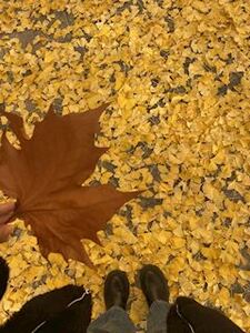 写メ日記 ともこ 10/6(月) 10:00