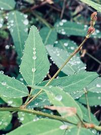 写メ日記 えま 10/6(月) 13:51