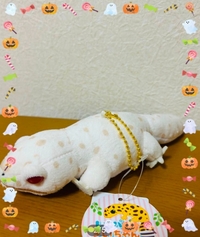 写メ日記 多田朱美 10/7(火) 07:40