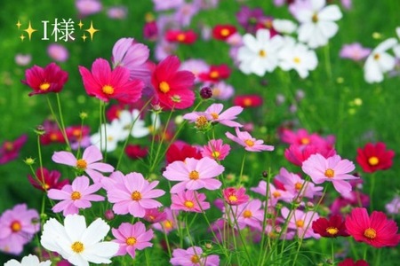 写メ日記 小山真帆 10/7(火) 21:42