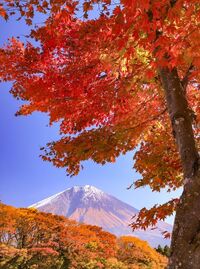 写メ日記 つかさ 10/9(木) 00:28
