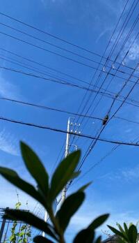 写メ日記 えま 10/9(木) 15:37