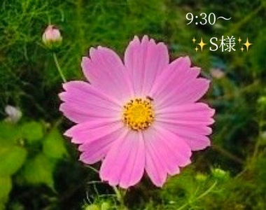 写メ日記 小山真帆 10/9(木) 18:14