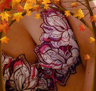 写メ日記 川島尚美 10/9(木) 20:05