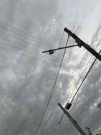 写メ日記 さく 10/10(金) 06:01