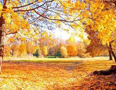 写メ日記 矢田(やだ) 10/11(土) 12:59