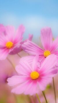 写メ日記 福岡みくる 10/11(土) 15:30