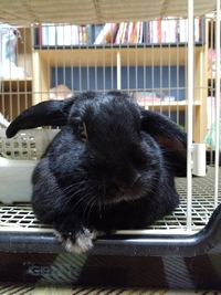 写メ日記 篠原尚美 10/12(日) 20:39