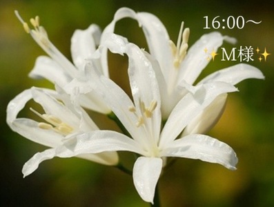 写メ日記 小山真帆 10/13(月) 19:04