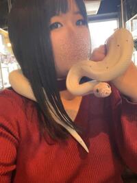 写メ日記 まこと 10/16(木) 07:02