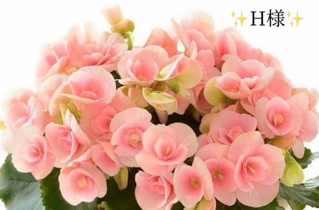 写メ日記 小山真帆 10/18(土) 22:04