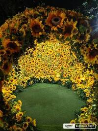 写メ日記 渡辺ちさと 10/21(火) 08:20