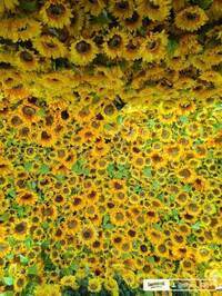 写メ日記 渡辺ちさと 10/21(火) 08:58