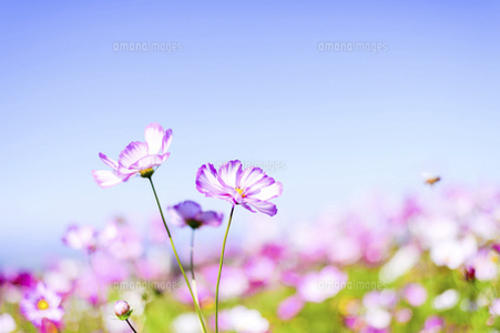 写メ日記 ひろ 10/22(水) 17:48