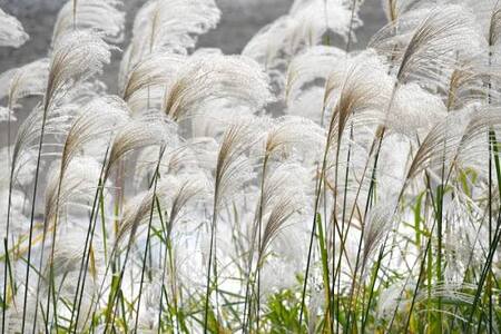 写メ日記 矢田(やだ) 10/24(金) 08:13