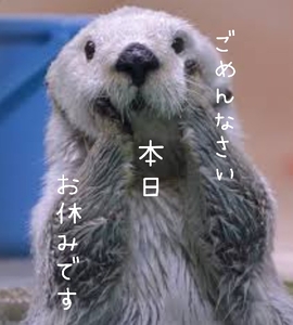 写メ日記 多田朱美 10/25(土) 09:01