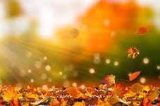 写メ日記 矢田(やだ) 10/25(土) 21:50