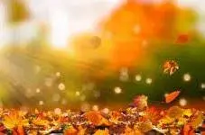 写メ日記 矢田（やだ） 10/25(土) 21:50